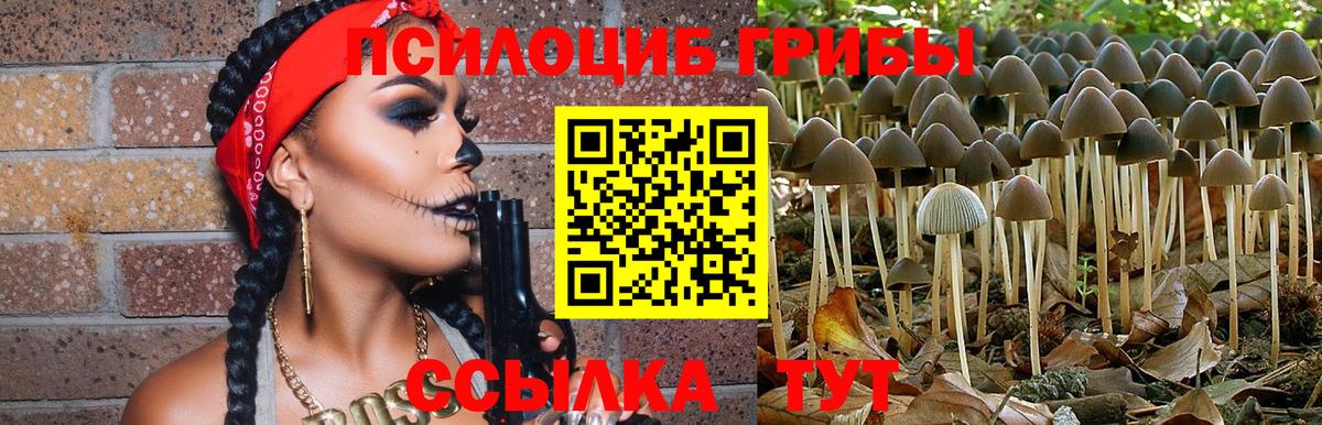 Галлюциногенные грибы мухоморы Аша