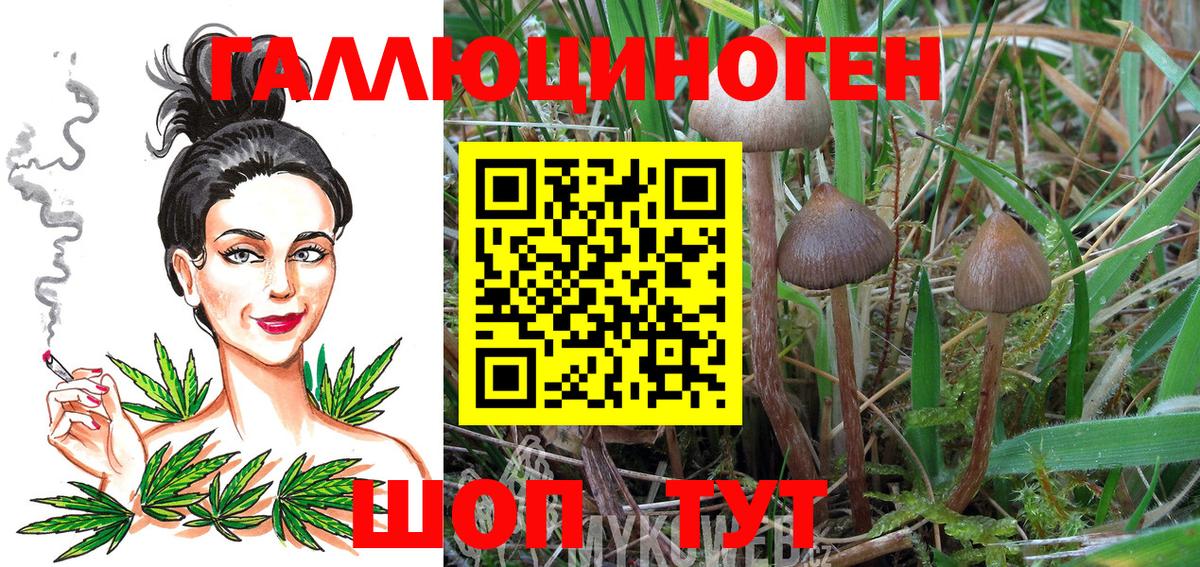 Аша  Галлюциногенные грибы Magic Shrooms  как найти закладки  Псилоцибиновые грибы мицелий  Вход с VPN 